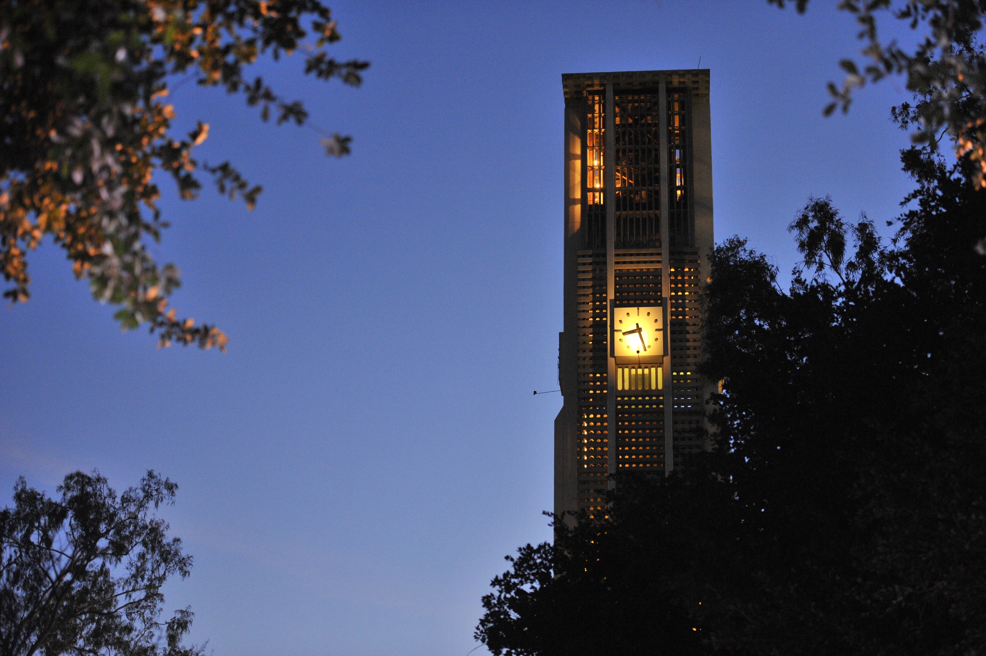 UCR belltower at night