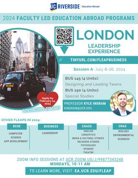 London Leadership Experience